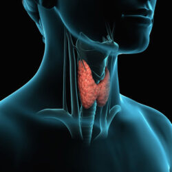 check-up tiroideo